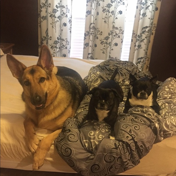 Meet your Posher, Michelle - Picture 4 of 5